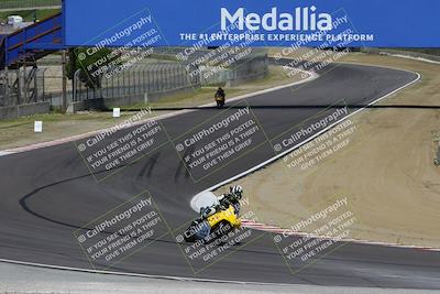 media/Mar-17-2024-Fastrack Riders (Sun) [[c7d6f8c14c]]/Level 1/Turn 5/
